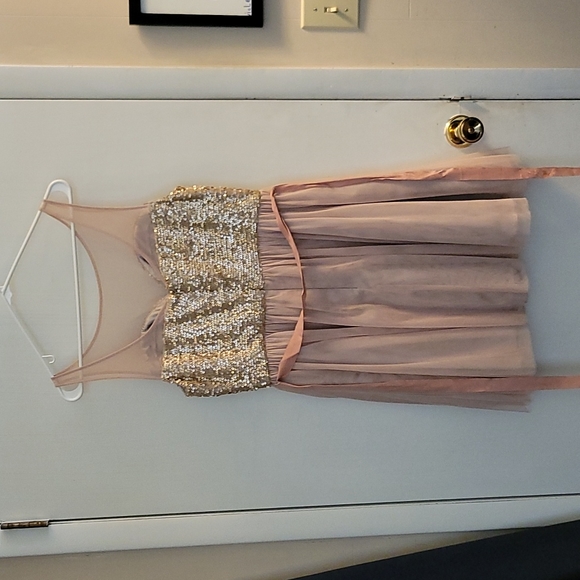 Sequined Blush Cocktail Dress (size 12) - Picture 2 of 3